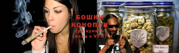 гидра Дмитровск