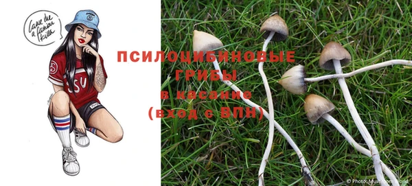 стаф Баксан