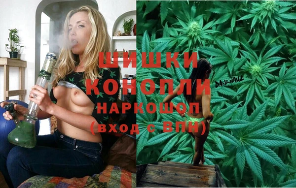 стаф Баксан