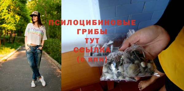 стафф Балахна